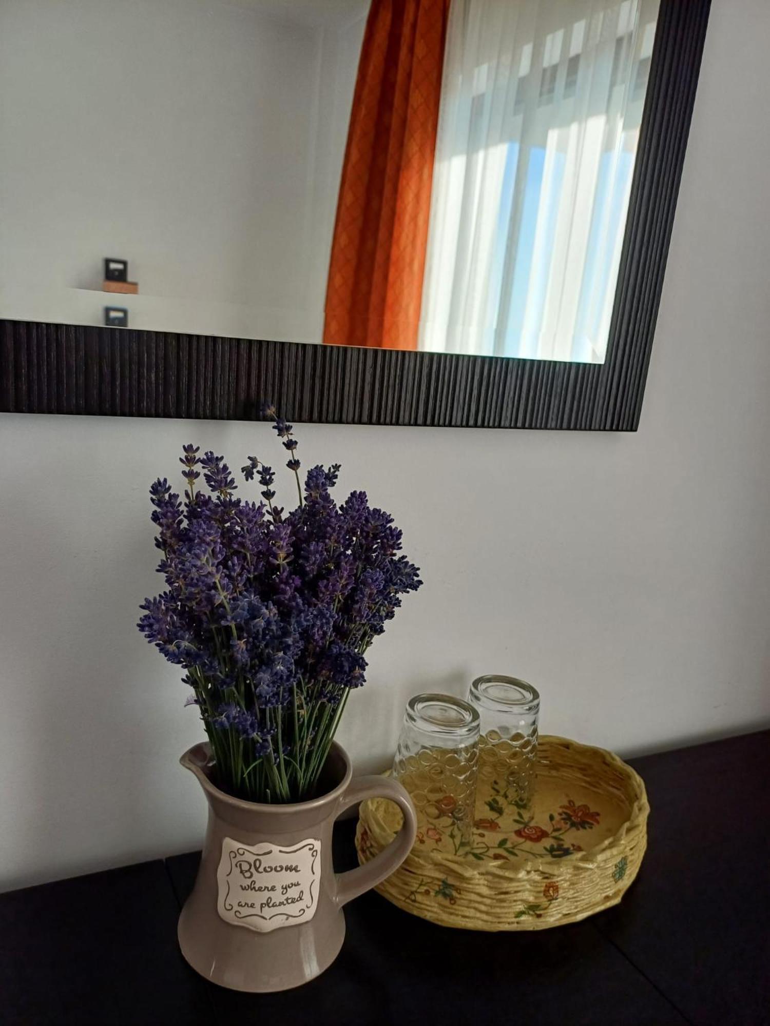 Dragomirna Sunset Otel Mitocu Dragomirnei Dış mekan fotoğraf